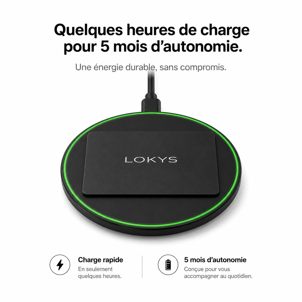 Carte Anti-Vol Lokys